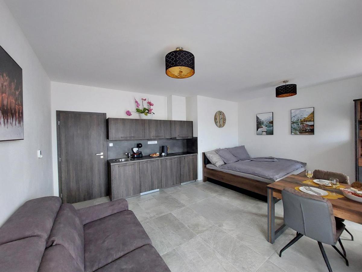 Apartman Rezidence Javor Zelezna Ruda Exterior photo