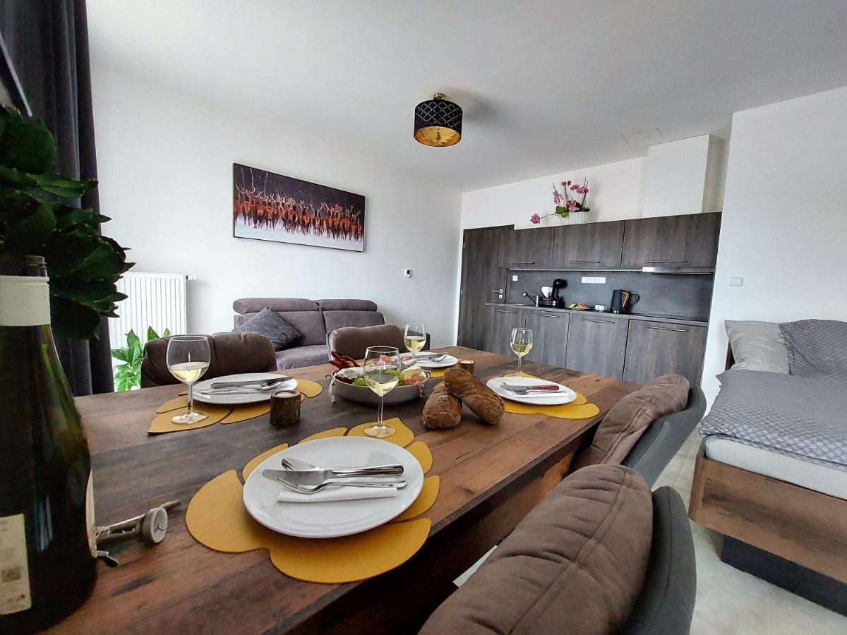 Apartman Rezidence Javor Zelezna Ruda Exterior photo